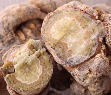 看了三七的历史，这就是三七！